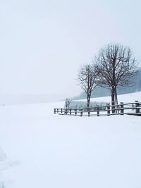 Bare tree on snow covered landscape against clear sky