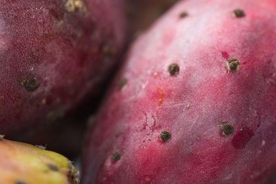 Full frame shot of pink fruit