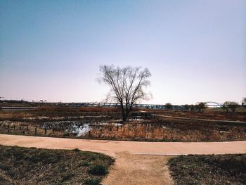 Bare trees on landscape against clear sky