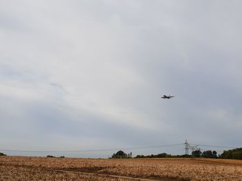 Low angle view of airplane flying over land against sky