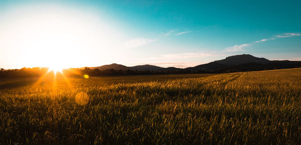 Scenic view of field against sky during sunset