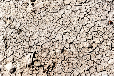 Full frame shot of cracked land