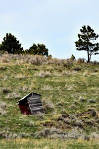 Outhouse leaning on a hill