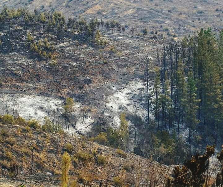 Zona de catastrofe