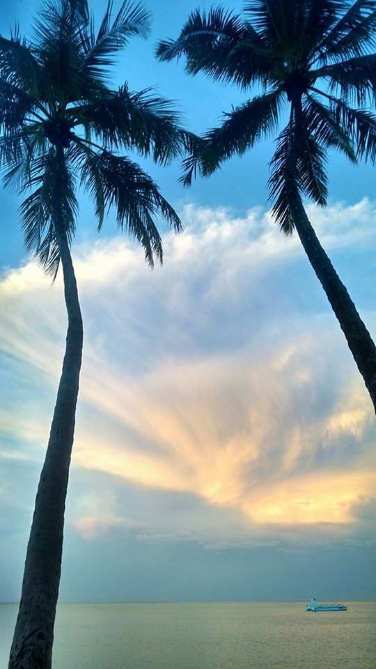 palm tree, sky, tree, tranquility, sea, tranquil scene, scenics, beauty in nature, horizon over water, beach, tree trunk, nature, cloud - sky, sunset, water, silhouette, idyllic, cloud, growth, shore