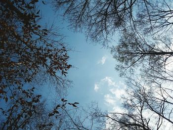 Low angle view of bare tree against sky