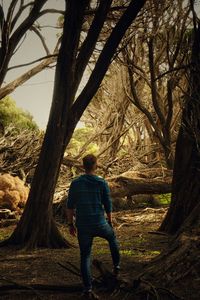 Rear view of man standing on bare tree