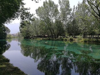 Reflection of trees in lake against sky