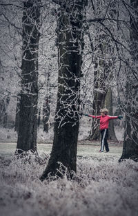 Man with bare trees in winter