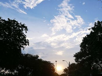 Low angle view of silhouette trees against sky