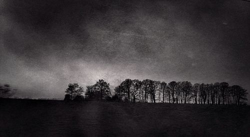 Trees on landscape against cloudy sky