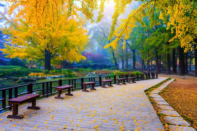 Bench in park during autumn