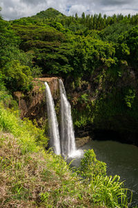 Scenic view of waterfall in forest