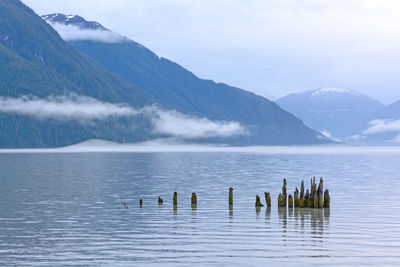 Quiet waters on a foggy coast near hyder, alaska