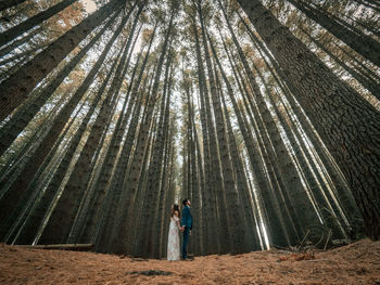 Full length of young couple standing back to back while standing amidst trees in forest