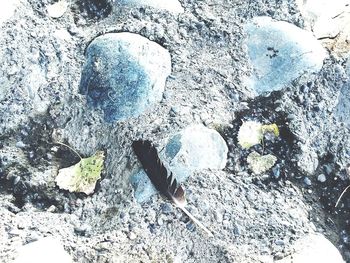 High angle view of stones on snow covered land