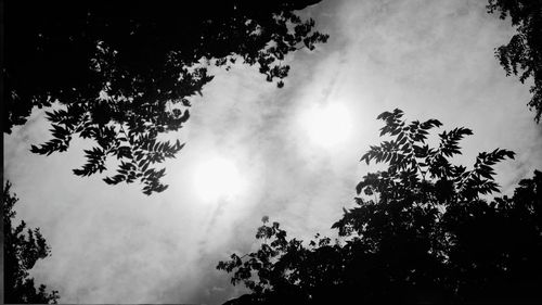Low angle view of trees against cloudy sky