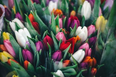 Full frame shot of pink flowers