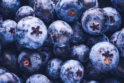 Full frame shot of blueberries