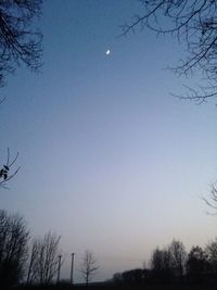 Low angle view of bare trees against blue sky