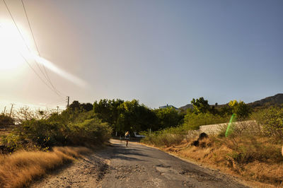 Man walking on road amidst trees against clear sky