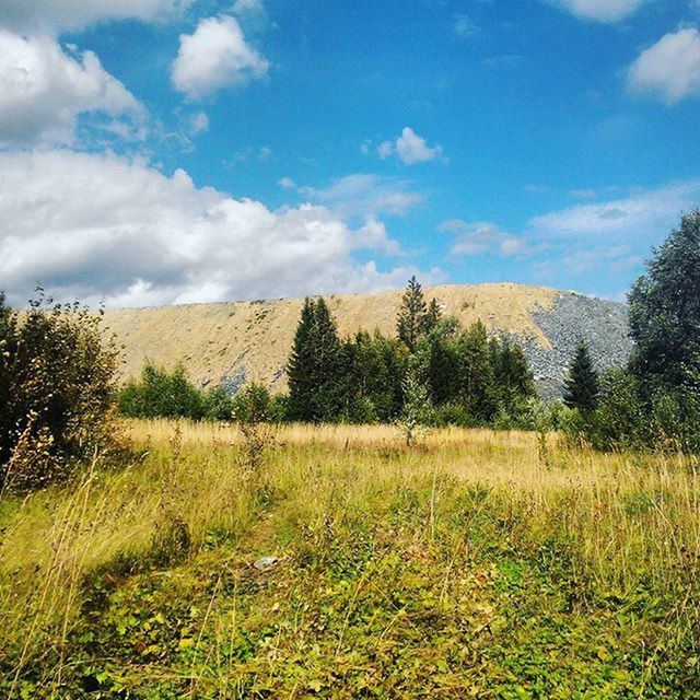 sky, grass, landscape, field, tranquil scene, tranquility, tree, growth, scenics, beauty in nature, nature, cloud - sky, grassy, cloud, plant, rural scene, green color, non-urban scene, day, no people