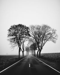 Tree by road on field against clear sky