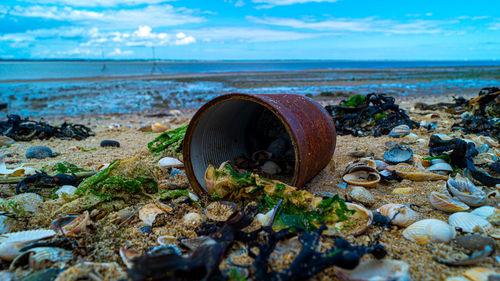 Close up of rusted can weathered on beach sand pollution litter rubbish in the ocean