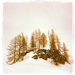 Scenic view of snow covered landscape