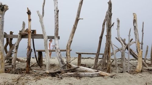 Wooden posts on beach against sky