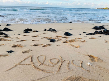 Aloha text written in sand, scenic view of beach and ocean wave