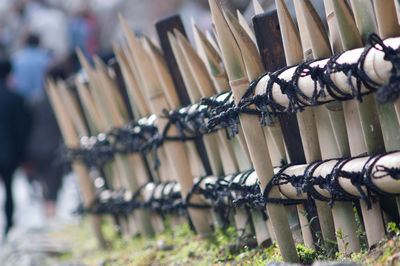 Close-up of chairs in row