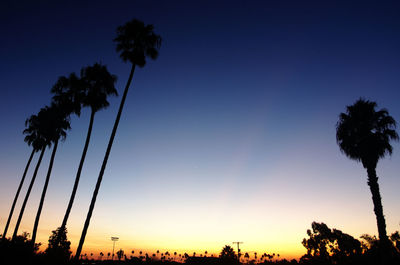 Low angle view of silhouette trees against sky during sunset