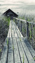 View of boardwalk leading to cabin