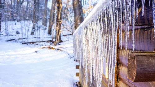 Close-up of ice on log cabin