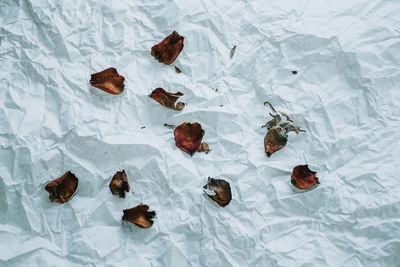 High angle view of dried fruits on table