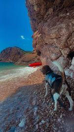 Man standing on rock by sea against sky