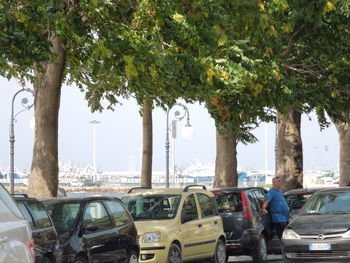Man with car on tree