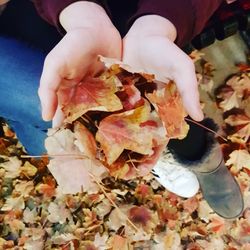 Close-up of hand holding leaves