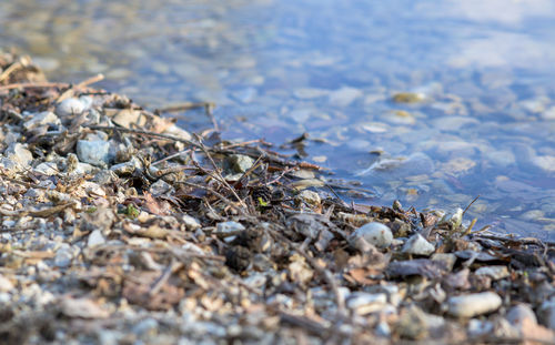 Close-up of stones on beach