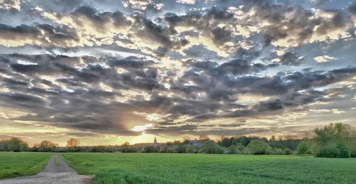 Scenic view of field against sky during sunset