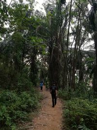 Rear view of people walking in forest