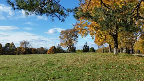 Trees on field against sky during autumn