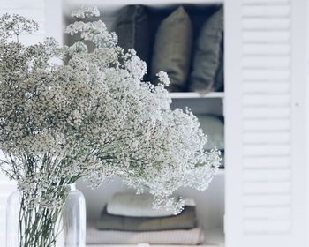 White flowers in vase against cabinet at home