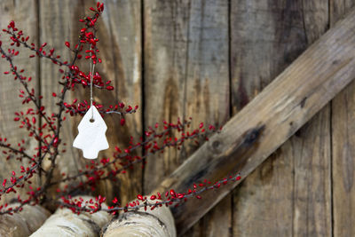 Christmas decor hanging from plant against wooden fence