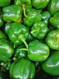 Full frame shot of green chili peppers