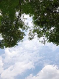 Low angle view of trees against sky