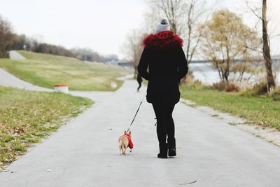 Rear view of woman with dog walking on road