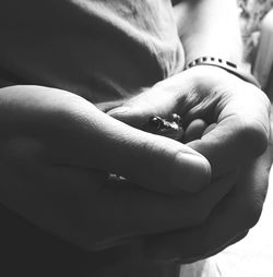 Cropped image of woman holding tiny frog