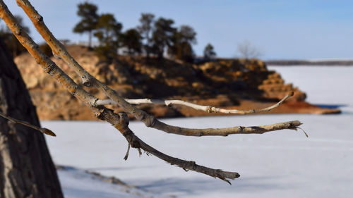 winter